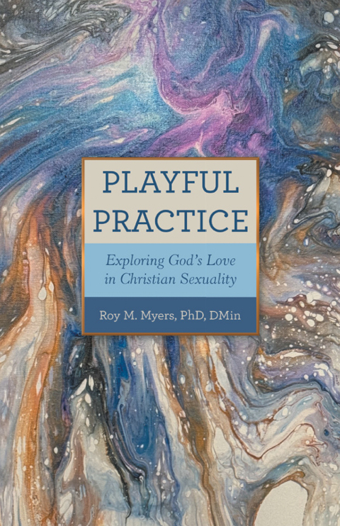 Cover image for book Playful Practice