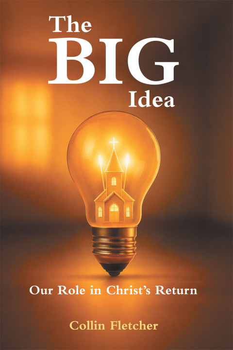 Cover image for book The Big Idea