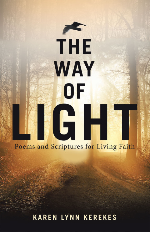 Cover image for book The Way of Light