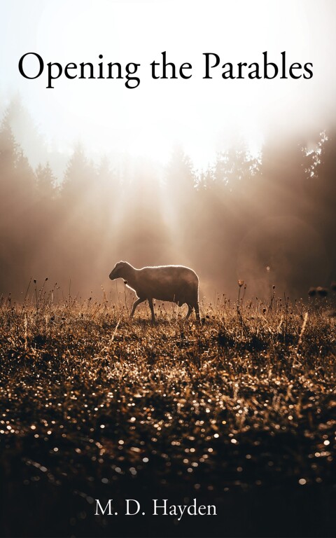 Cover image for book Opening the Parables