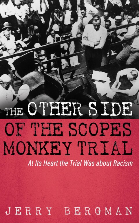 Cover image for book The Other Side of the Scopes Monkey Trial