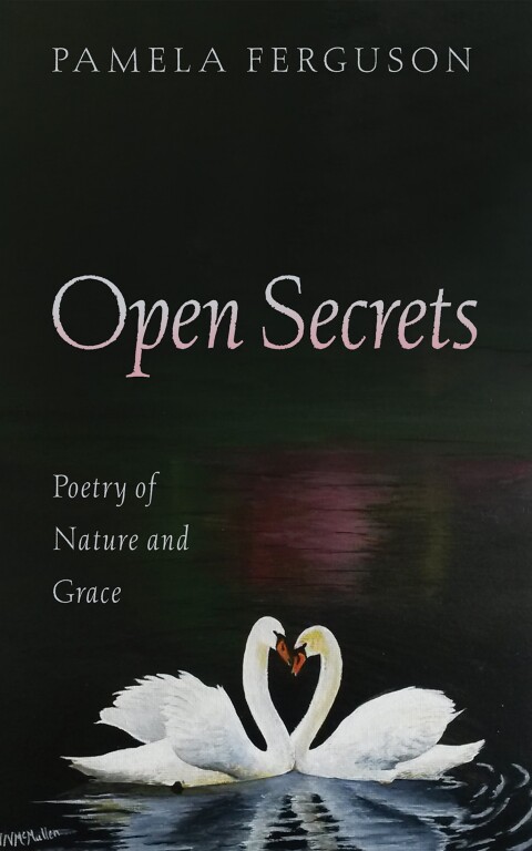 Cover image for book Open Secrets