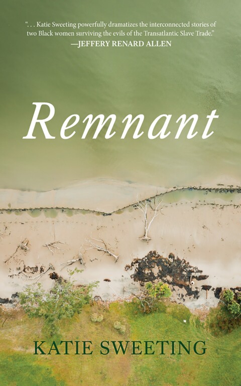 Cover image for book Remnant