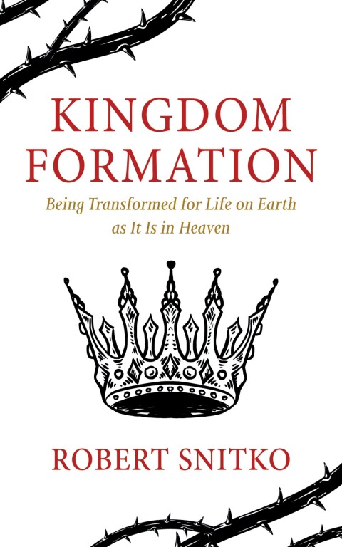Cover image for book Kingdom Formation