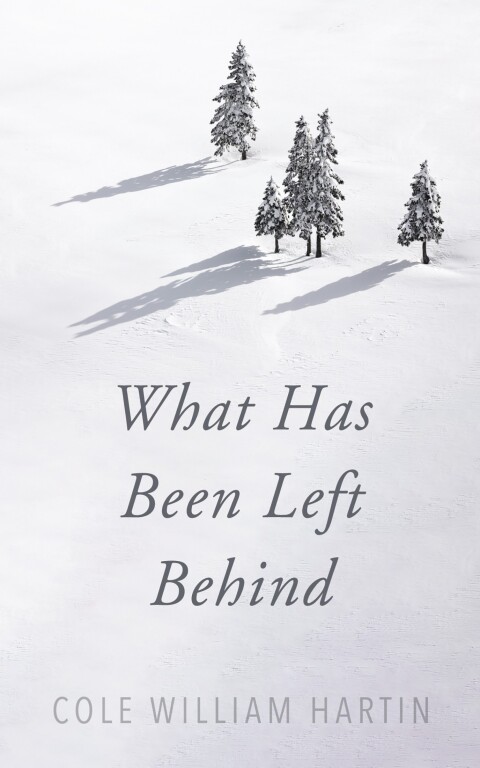 Cover image for book What Has Been Left Behind