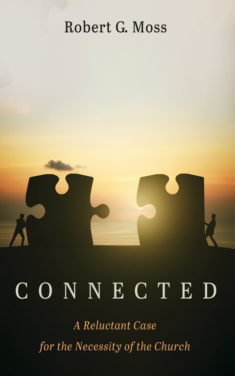 Cover image for book Connected