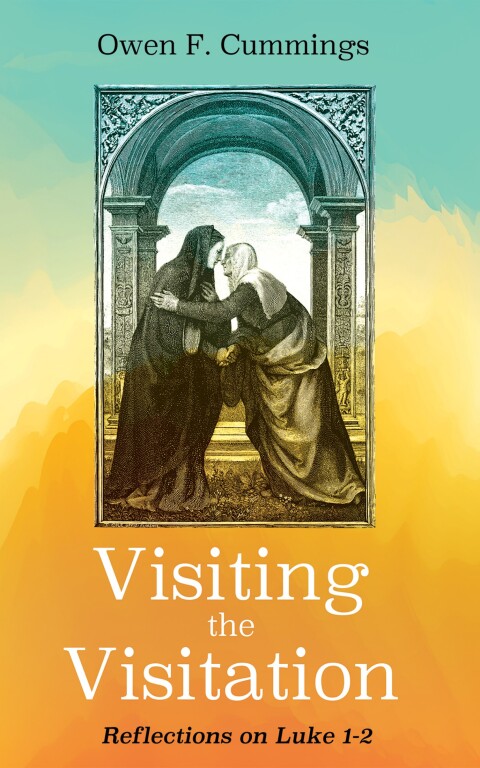 Cover image for book Visiting the Visitation