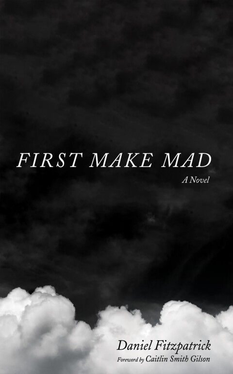 Cover image for book First Make Mad