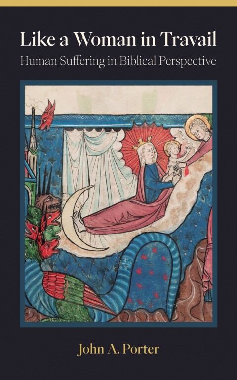 Cover image for book Like a Woman in Travail