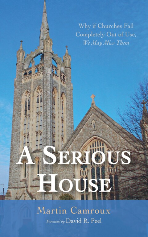 Cover image for book A Serious House