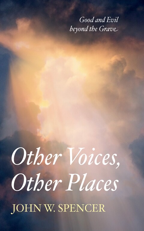 Cover image for book Other Voices, Other Places