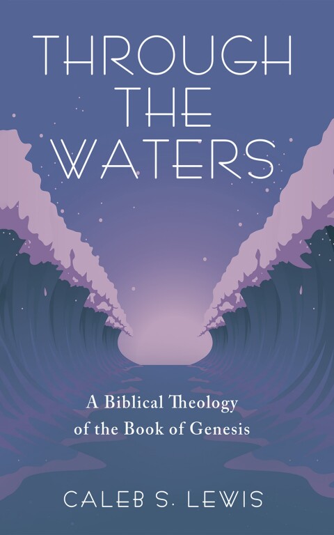 Cover image for book Through the Waters