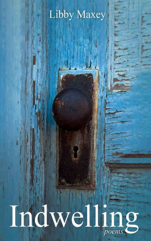 Cover image for book Indwelling