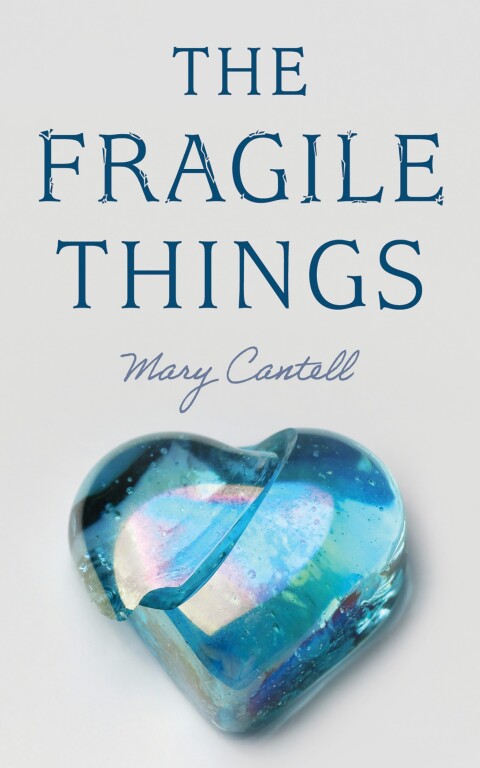Cover image for book The Fragile Things