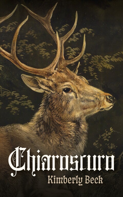 Cover image for book Chiaroscuro