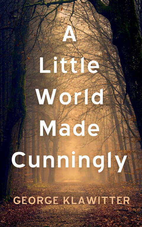 Cover image for book A Little World Made Cunningly