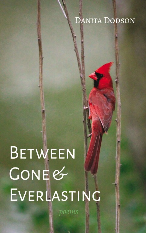 Cover image for book Between Gone and Everlasting