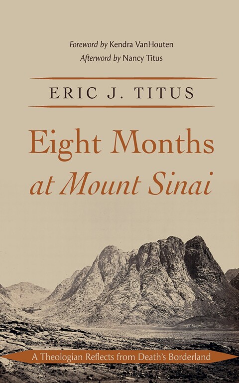 Cover image for book Eight Months at Mount Sinai