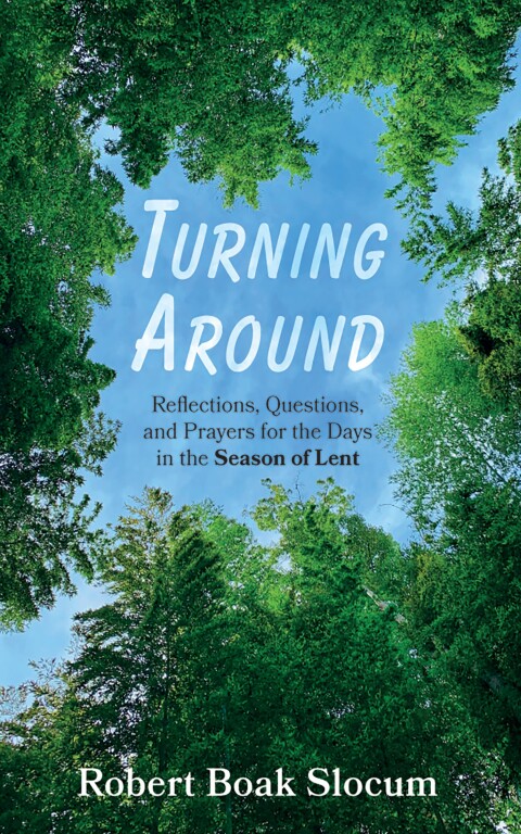 Cover image for book Turning Around