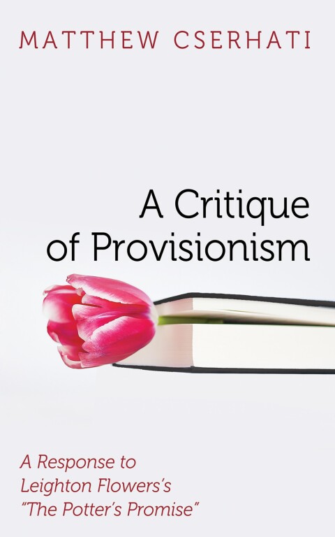 Cover image for book A Critique of Provisionism