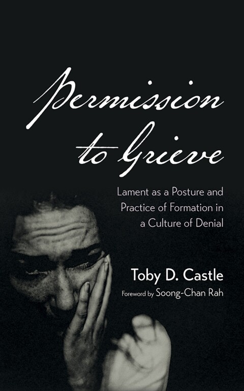 Cover image for book Permission to Grieve