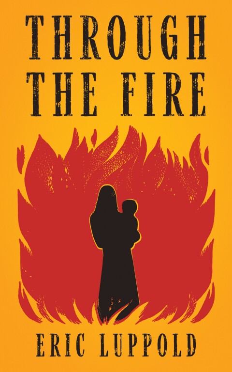 Cover image for book Through the Fire