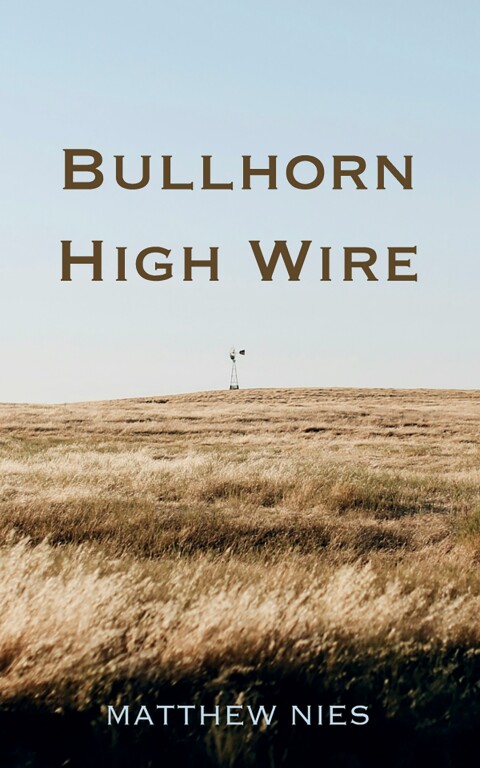 Cover image for book Bullhorn High Wire