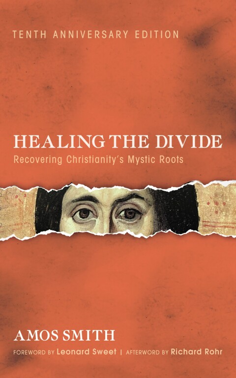 Cover image for book Healing the Divide, Tenth Anniversary Edition