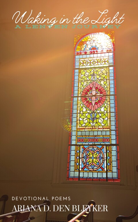 Cover image for book Waking in the Light