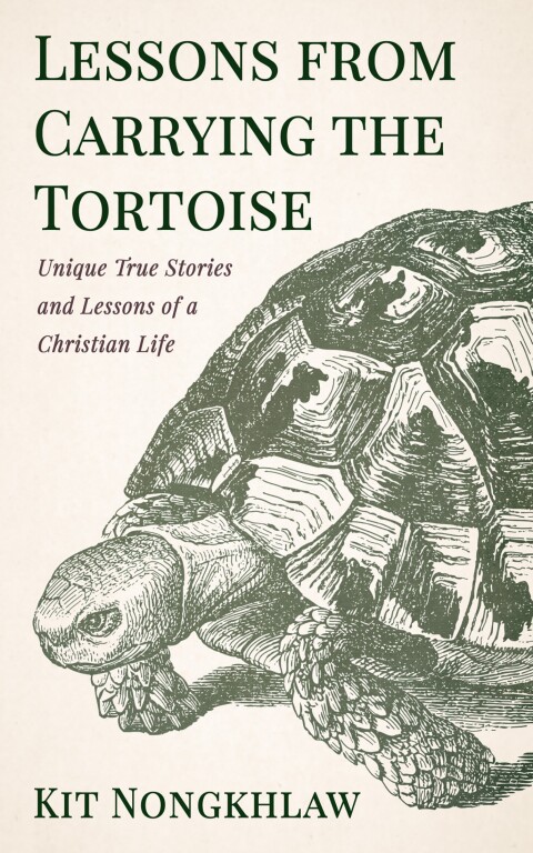 Cover image for book Lessons from Carrying the Tortoise