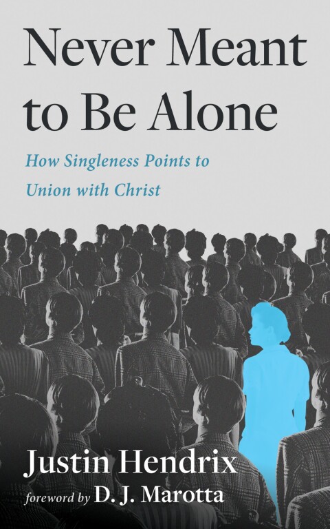 Cover image for book Never Meant to Be Alone