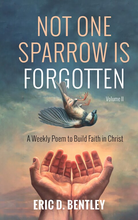 Cover image for book Not One Sparrow is Forgotten, Volume II