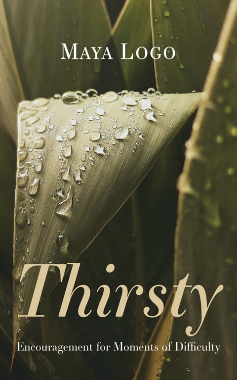 Cover image for book Thirsty