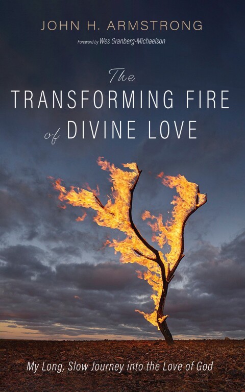 Cover image for book The Transforming Fire of Divine Love