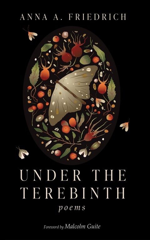 Cover image for book Under the Terebinth