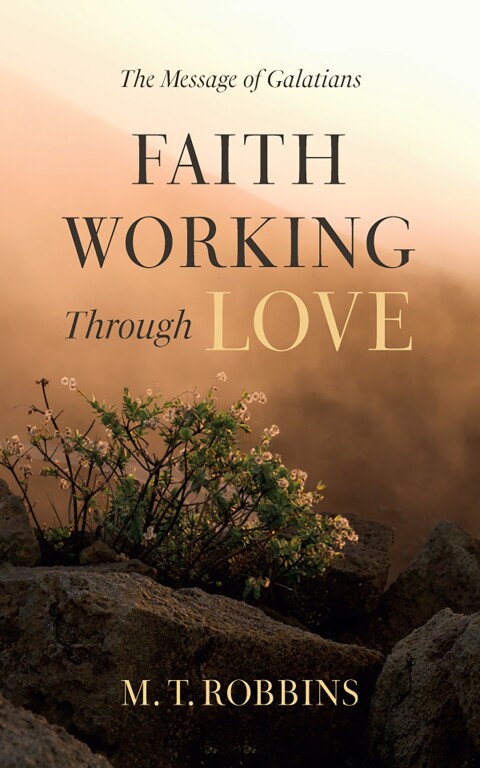 Cover image for book Faith Working Through Love
