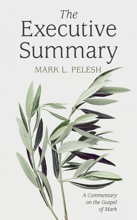 Cover image for book The Executive Summary