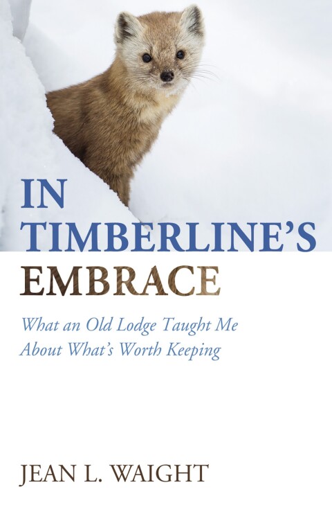 Cover image for book In Timberline’s Embrace