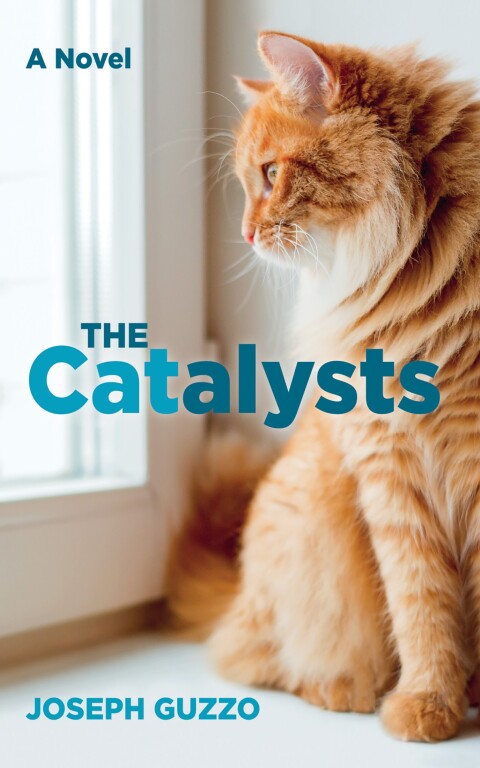 Cover image for book The Catalysts