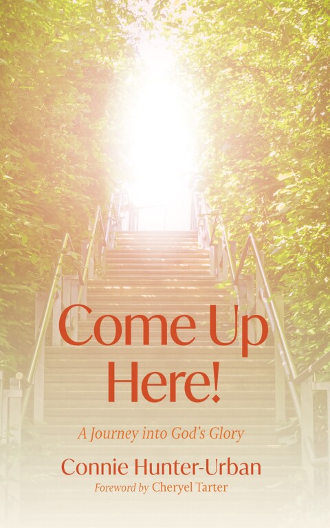 Cover image for book Come Up Here!