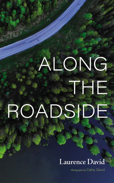 Cover image for book Along the Roadside
