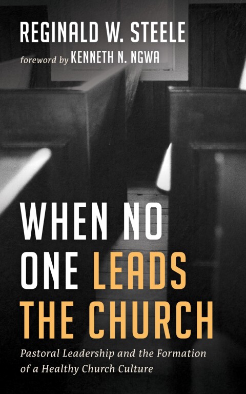 Cover image for book When No One Leads the Church