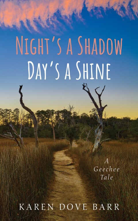 Cover image for book Night’s a Shadow; Day’s a Shine