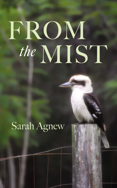 Cover image for book From the Mist