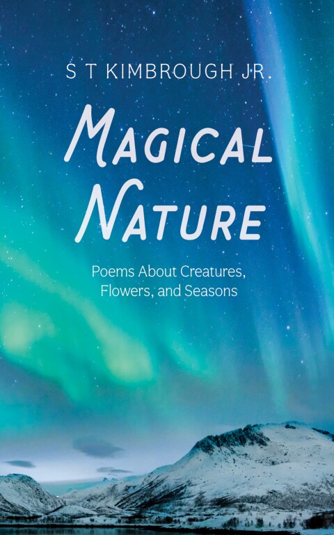 Cover image for book Magical Nature
