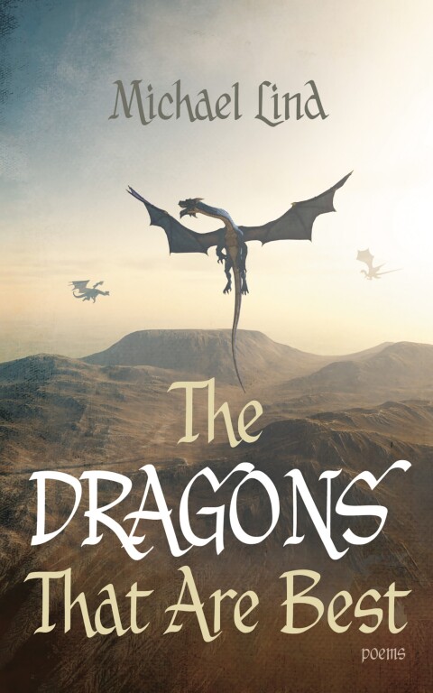 Cover image for book The Dragons That Are Best