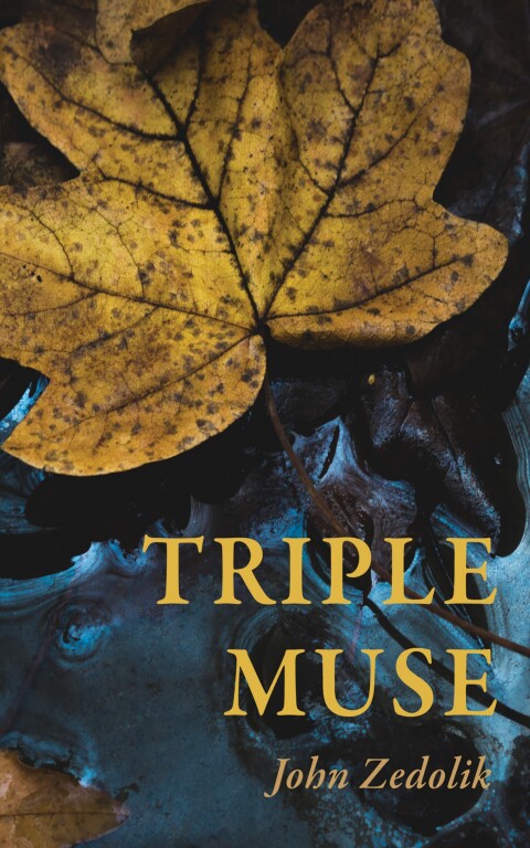 Cover image for book Triple Muse