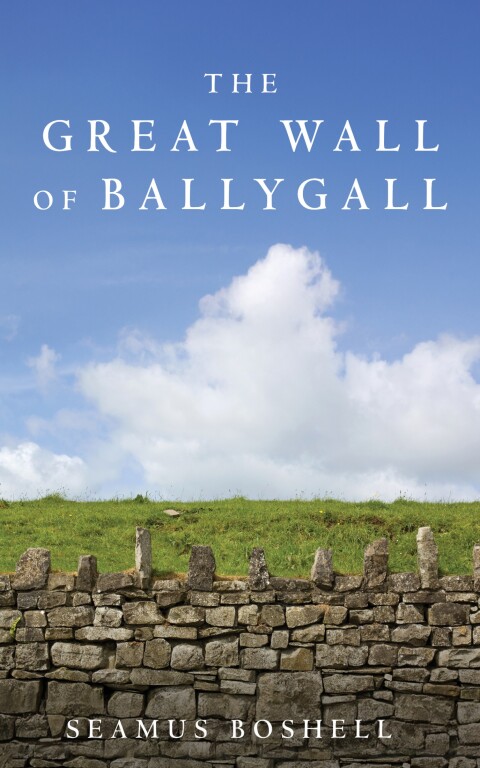 Cover image for book The Great Wall of Ballygall
