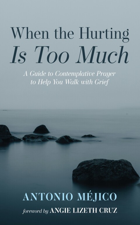 Cover image for book When the Hurting Is Too Much
