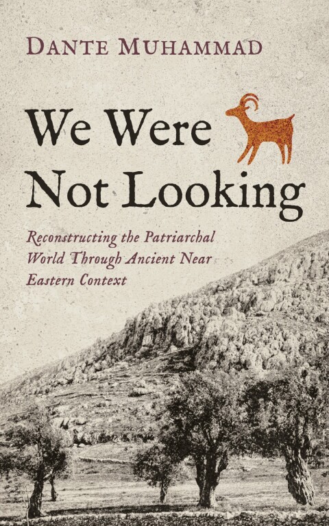 Cover image for book We Were Not Looking